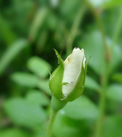 a0079880_2118813.jpg