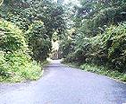 f0016981_039353.jpg