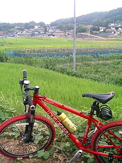 f0075181_8254863.jpg
