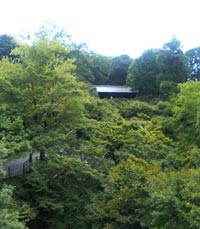 d0055487_0382451.jpg