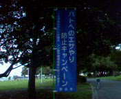 b0007895_19232599.jpg