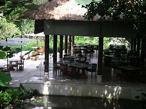 a0036499_2329231.jpg
