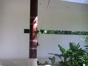 a0036499_23321575.jpg