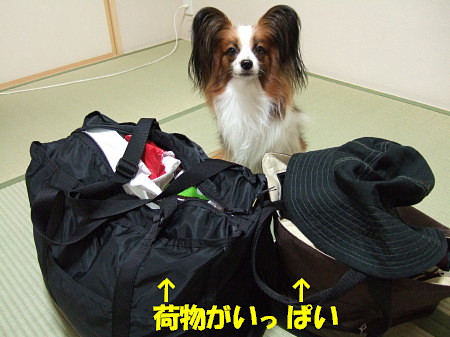 c0044199_23185627.jpg