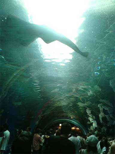 f0036603_23181276.jpg