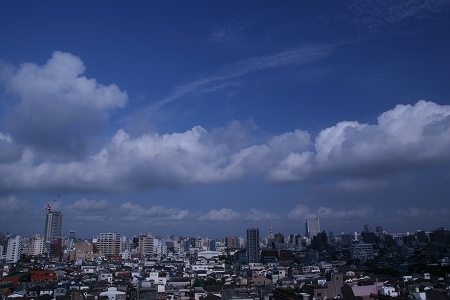a0036412_2214058.jpg