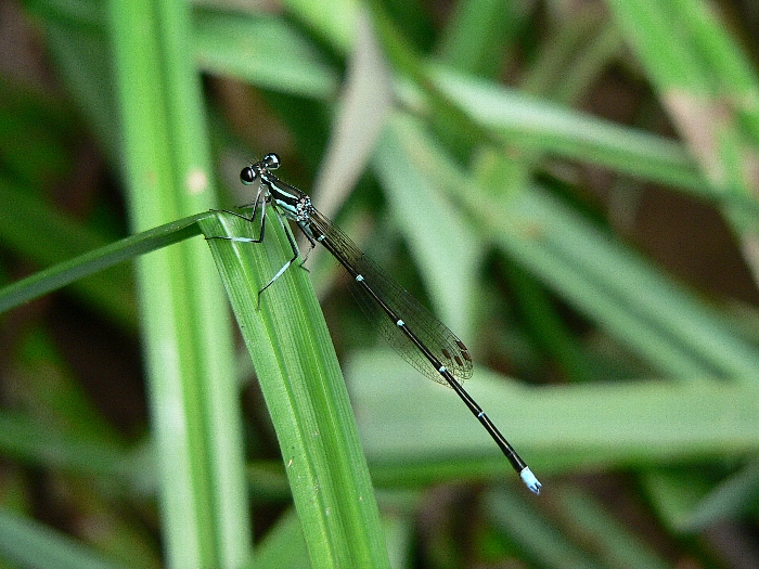e0002314_19573321.jpg