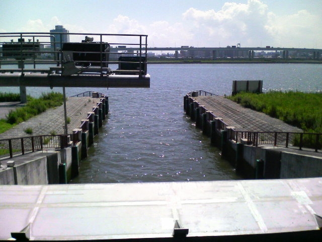 a0077616_16461640.jpg