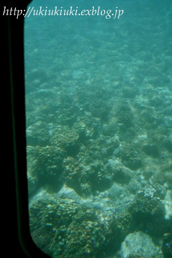 c0071221_15243929.jpg