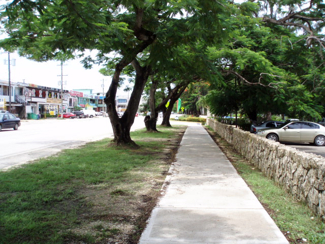 f0057324_6591482.jpg