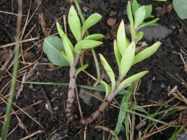 a0020929_9245465.jpg
