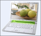 f0102130_914290.gif