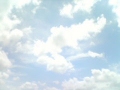 f0053734_063896.jpg