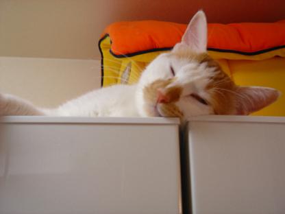 f0046854_20123750.jpg
