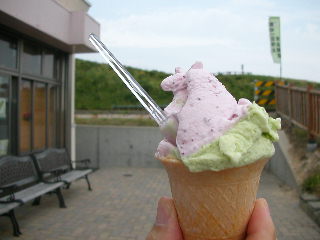 e0004756_1102628.jpg