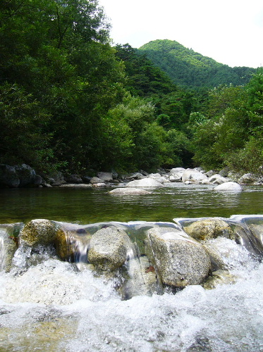 b0015260_21135815.jpg