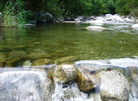 b0015260_21205369.jpg