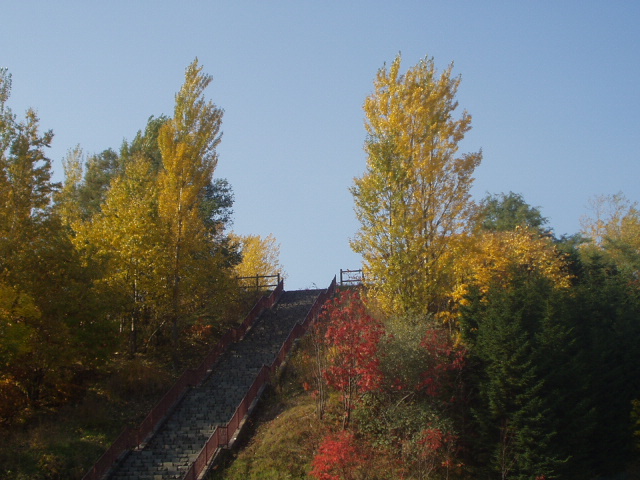d0076760_16205427.jpg