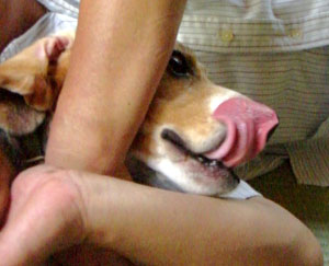 e0007060_2314454.jpg