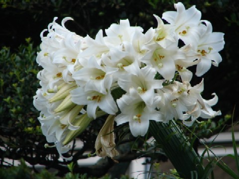 b0061261_2247320.jpg