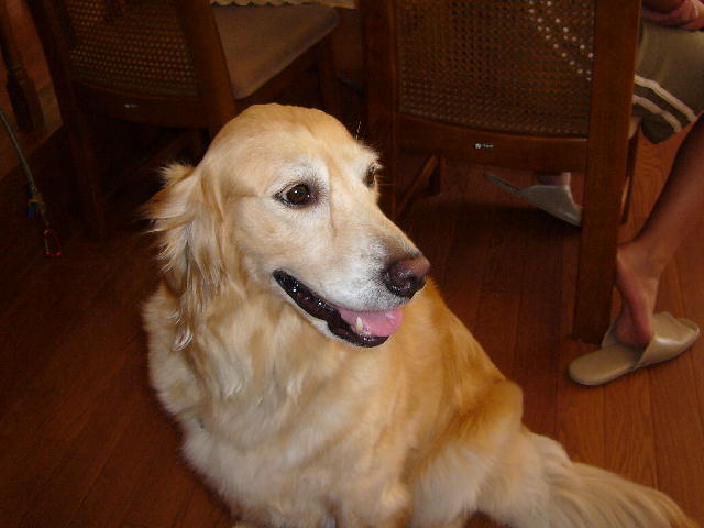 f0057565_0373182.jpg