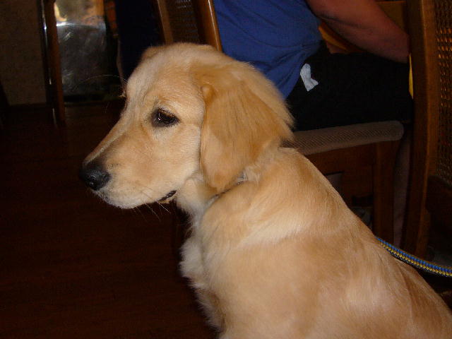 f0057565_0495524.jpg