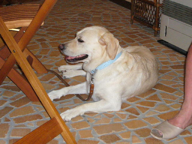 f0057565_0503181.jpg