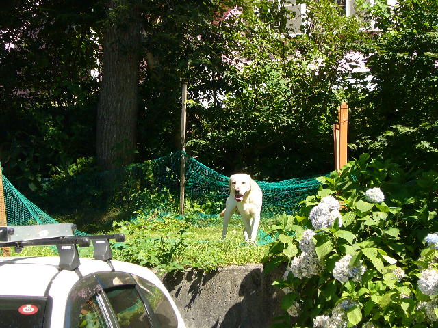 f0057565_0582865.jpg