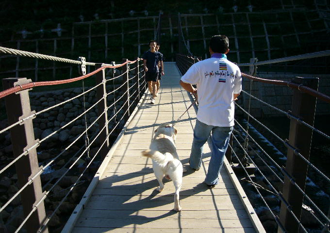f0057565_141011.jpg