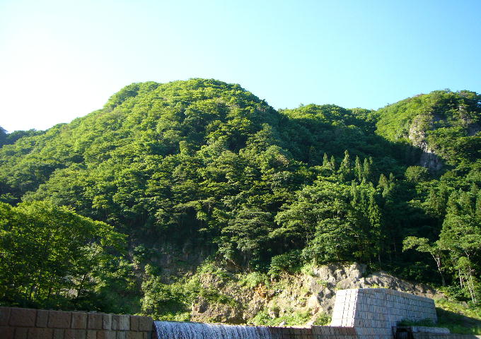 f0057565_171510.jpg