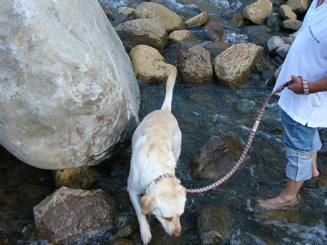 f0057565_185264.jpg