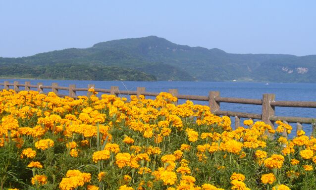 a0004566_1454268.jpg