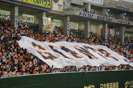 f0065768_1632163.jpg