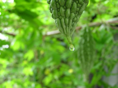 c0042869_965137.jpg