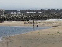 f0042571_102735100.jpg