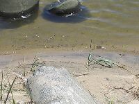 f0042571_10284190.jpg