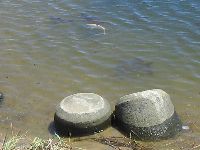 f0042571_1029498.jpg