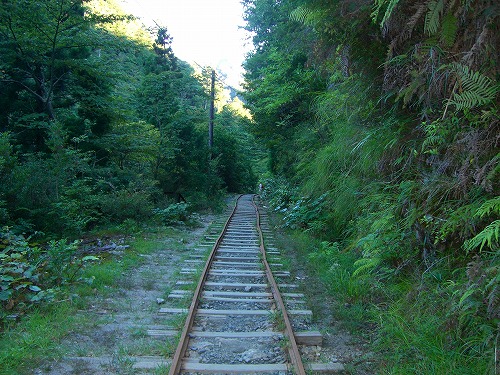 b0010882_751398.jpg