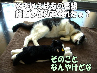 b0041182_1672419.jpg