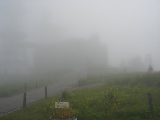 f0068291_0113634.jpg
