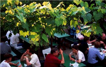f0000593_0134537.jpg
