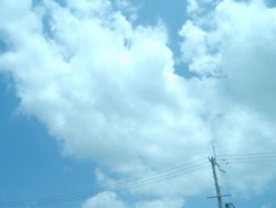 e0077498_12413850.jpg