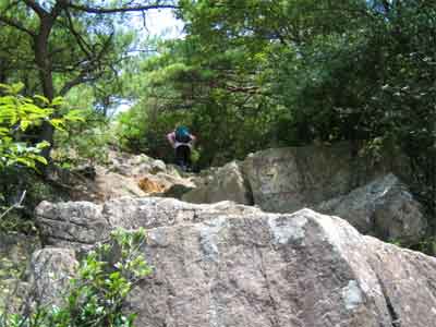 b0108100_17455668.jpg