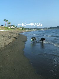 c0050400_16401053.jpg