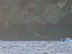 e0006700_1335239.jpg