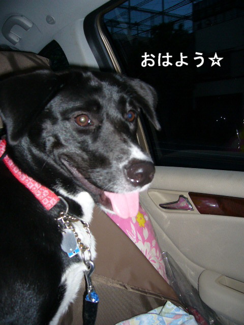 d0070702_21241833.jpg