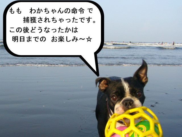 d0070702_22114295.jpg