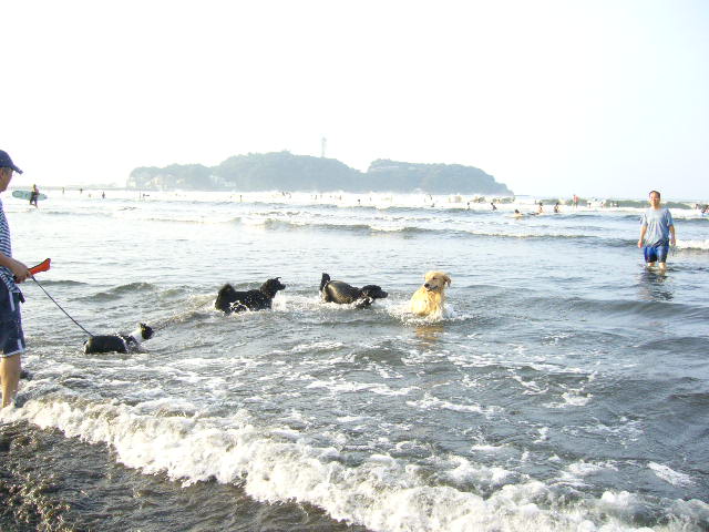 d0070702_224313.jpg