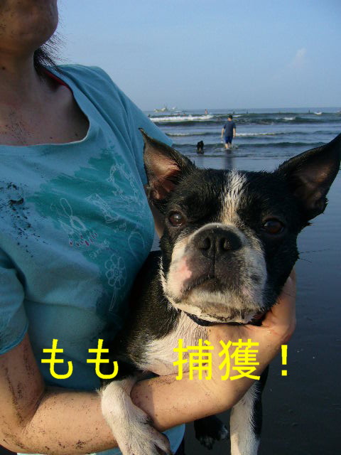 d0070702_22611.jpg