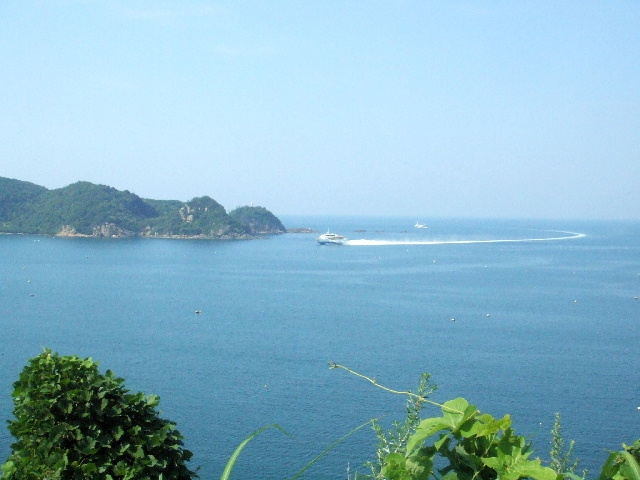 c0062603_2238293.jpg